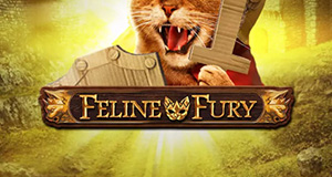 Feline Fury play n go