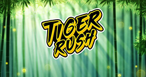 Tiger Rush thunderkick