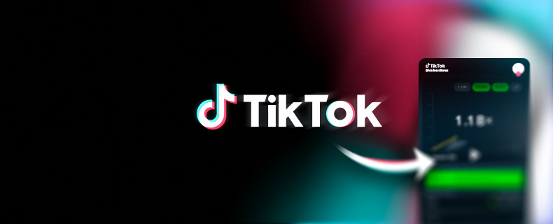 Bannière article TikTok